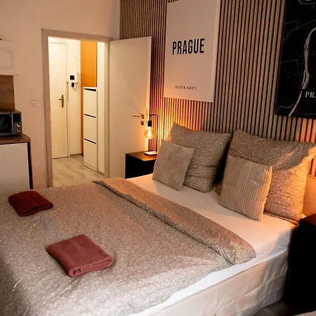 Benedikt Apartment. 아파트 프라하