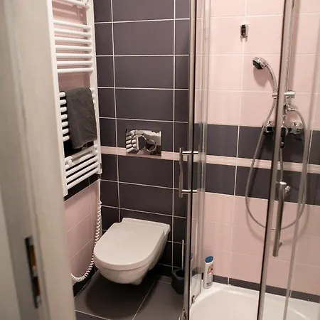 아파트 Benedikt Apartment. 프라하