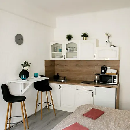 아파트 Benedikt Apartment. 프라하