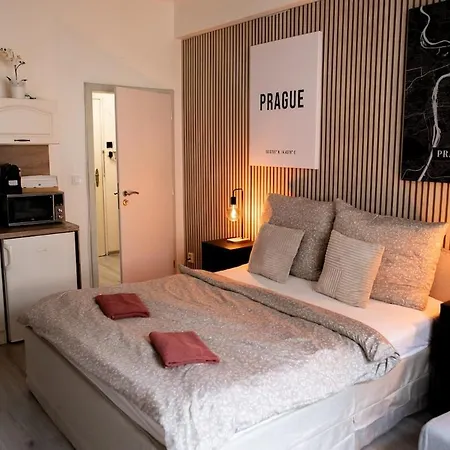 아파트 Benedikt Apartment. *