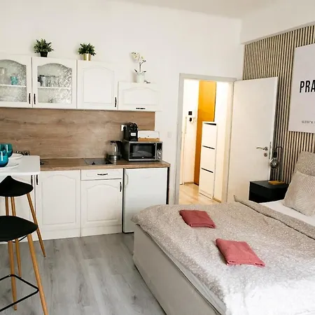 아파트 Benedikt Apartment.